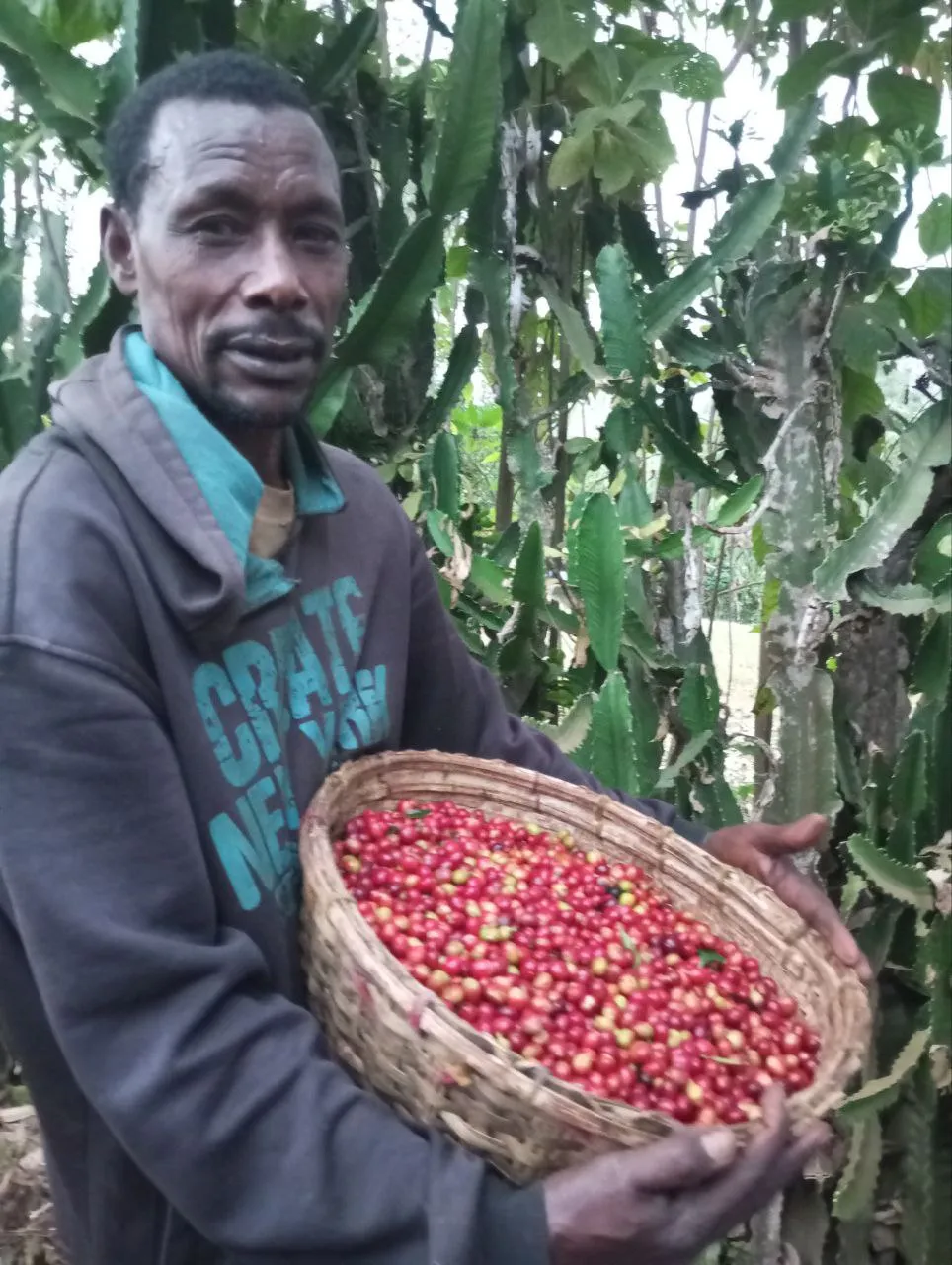 Farmer with harvest